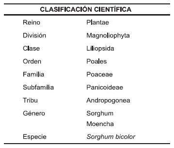 Determinación de Taninos Condensados en Sorgo y su Desactivación Utilizando Urea - Image 2