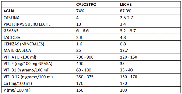 Algunas consideraciones sobre la cría artificial de terneros - Image 4