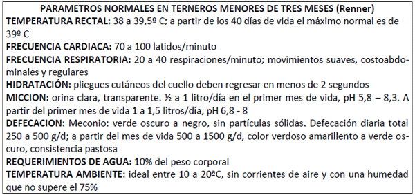 Algunas consideraciones sobre la cría artificial de terneros - Image 1