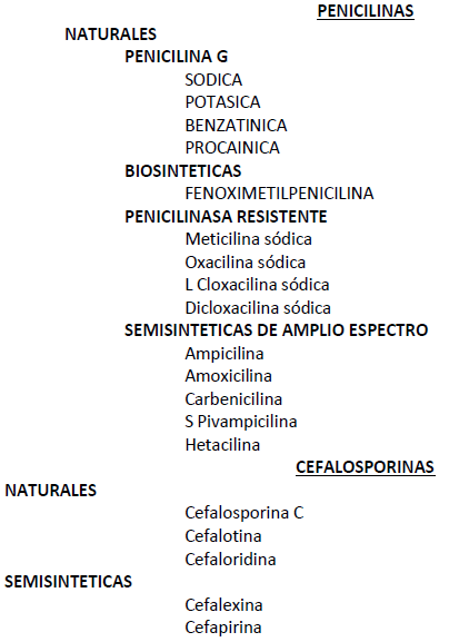 Algunas consideraciones sobre la cría artificial de terneros - Image 18