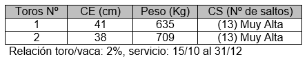 Preñez en vacas y vaquillonas mediante servicio natural con toros para carne de baja y alta capacidad de servicio - Image 3
