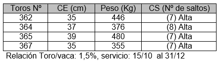 Preñez en vacas y vaquillonas mediante servicio natural con toros para carne de baja y alta capacidad de servicio - Image 2