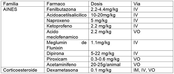 Tendinopatías del tendón flexor digital superficial: diagnóstico y tratamientos - Image 10
