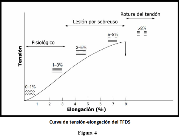 Tendinopatías del tendón flexor digital superficial: diagnóstico y tratamientos - Image 4