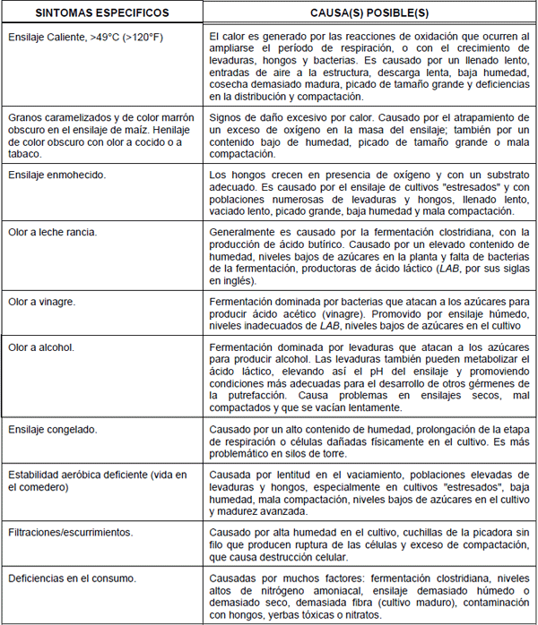 Evaluando la Calidad del Ensilaje - Image 1