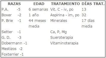 REFORZANDO EL CONCEPTO DE ESCORBUTO - Image 14
