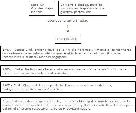 REFORZANDO EL CONCEPTO DE ESCORBUTO - Image 2