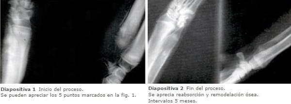 REFORZANDO EL CONCEPTO DE ESCORBUTO - Image 5