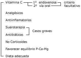 REFORZANDO EL CONCEPTO DE ESCORBUTO - Image 8