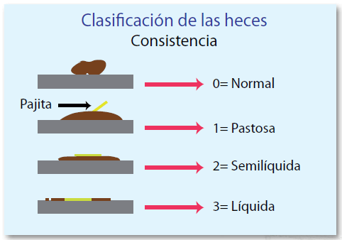 Efecto de la suplementación posdestete con ácidos orgánicos, aceites esenciales microencapsulados y xilanasas (II) - Image 1