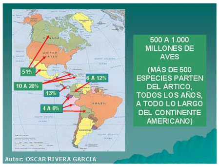  Gripe Aviar: Futuro. Tercera Parte - Image 3