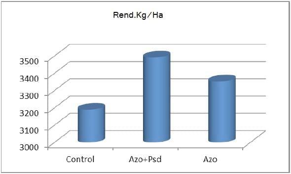 Evaluación de distintos fertilizantes foliares y promotores de crecimiento que mejoren la producción y calidad del Trigo - Image 8