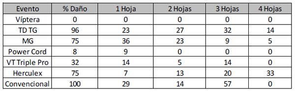 Evaluación del daño de oruga militar (Spodoptera frugiperda) en diferentes híbridos comerciales de maíz transgénicos. - Image 5