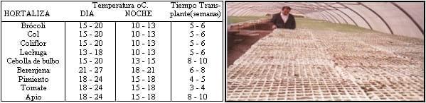 Sistema de Riego en Horticultura - Image 2