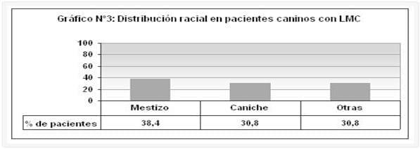 Leucemia mieloide crónica en pacientes caninos: rasgos epidemiológicos y aproximación diagnóstica - Image 3