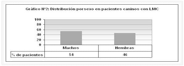 Leucemia mieloide crónica en pacientes caninos: rasgos epidemiológicos y aproximación diagnóstica - Image 2