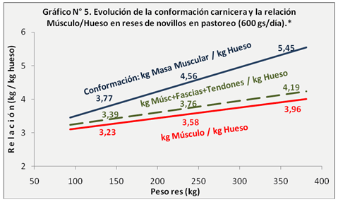 Conversión alimenticia como herramienta de decisión durante los engordes de bovinos. Impacto sobre los precios de venta y el resultado económico. - Image 5