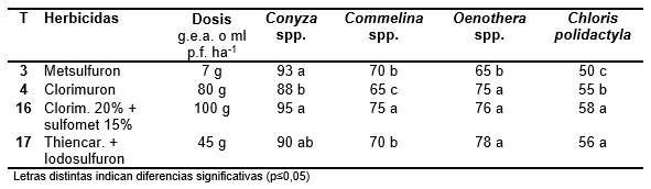 Estrategias de barbechos para el control de las malezas otoño-inverno-primaveral mediante el uso de herbicidas residuales - Image 8