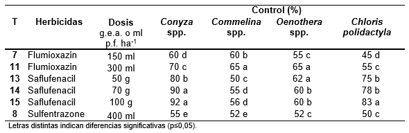 Estrategias de barbechos para el control de las malezas otoño-inverno-primaveral mediante el uso de herbicidas residuales - Image 3