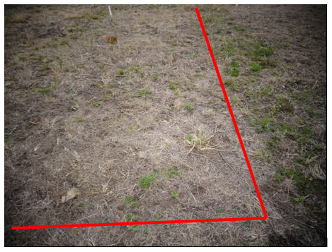 Estrategias de barbechos para el control de las malezas otoño-inverno-primaveral mediante el uso de herbicidas residuales - Image 7