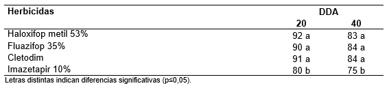 Evaluación de graminicidas postemergentes fop y dim en el control de sorghum halepense resistente a glifosato para barbecho químico - Image 3