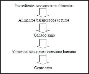 El papel de la industria del reciclaje de subproductos de origen animal en la seguridad de alimentos para consumo animal y humano - Image 1