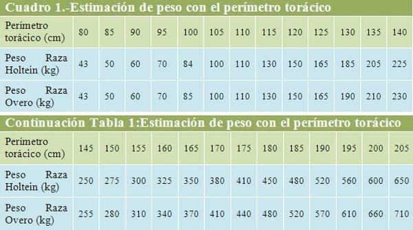 Mejorando la crianza de Vaquillas Lecheras de Reemplazo. Recría de Vaquillas. - Image 1