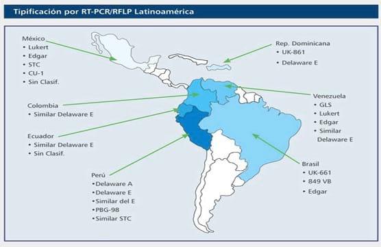 Prevención contra la enfermedad de Gumboro: Tipos de vacunas, programas vacunales y vías de aplicación - Image 4