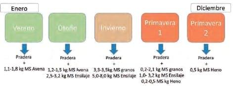Definición del modelo productivo de engorda de vacas de descarte de lecherías - Image 1