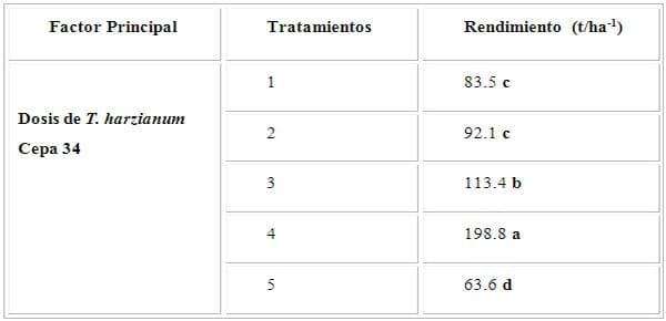 Influencia de trichoderma harzianum a-34, en el crecimiento y desarrollo de solanum lycopersicum l en cultivo protegido - Image 7