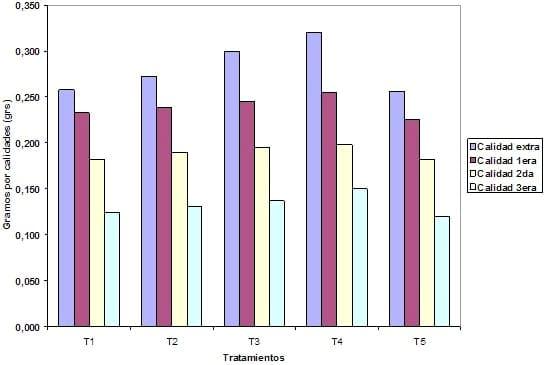 Influencia de trichoderma harzianum a-34, en el crecimiento y desarrollo de solanum lycopersicum l en cultivo protegido - Image 6