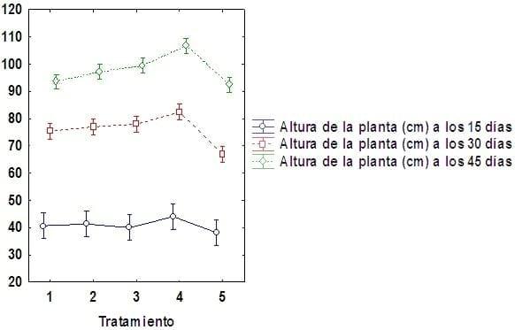 Influencia de trichoderma harzianum a-34, en el crecimiento y desarrollo de solanum lycopersicum l en cultivo protegido - Image 3