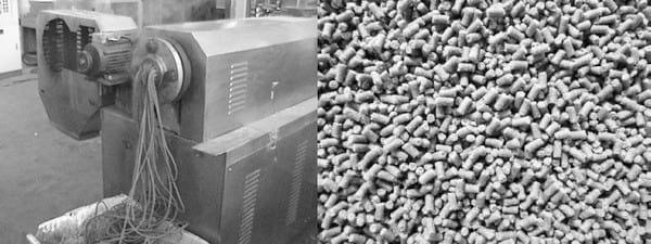 Caracterización físico-química de pellets extruídos de torta de Higuerilla (Ricinus Comunis l) visando su uso en alimentos balanceados - Image 3