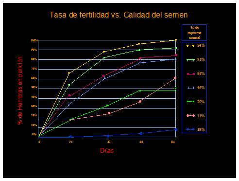 Efectos de la alimentación y la condicion corporal sobre la fertilidad de toros - Image 5
