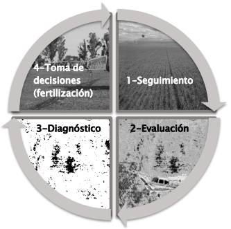 Utilización de sensores remotos para mejorar el manejo de la nutrición nitrogenada en trigo y en cebada - Image 1