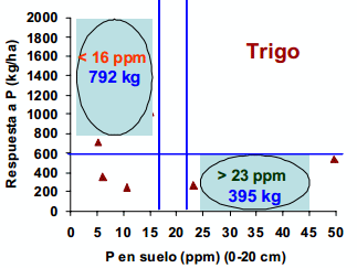 Rendimiento y eficiencia comparativa de uso de fósforo, nitrogeno y agua en trigo y cebada cervecera en la Región Centro y Noroeste de Buenos Aires - Image 18