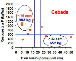 Rendimiento y eficiencia comparativa de uso de fósforo, nitrogeno y agua en trigo y cebada cervecera en la Región Centro y Noroeste de Buenos Aires - Image 17