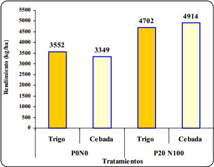 Rendimiento y eficiencia comparativa de uso de fósforo, nitrogeno y agua en trigo y cebada cervecera en la Región Centro y Noroeste de Buenos Aires - Image 8