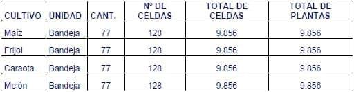 Establecimiento de un semillero invernadero tipo tunel bajo ambiente controlado - Image 27