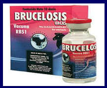Prevención, control y erradicación de la brucelosis y tuberculosis bovina en los predios - Image 13