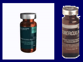 Prevención, control y erradicación de la brucelosis y tuberculosis bovina en los predios - Image 16