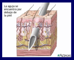 Prevención, control y erradicación de la brucelosis y tuberculosis bovina en los predios - Image 21