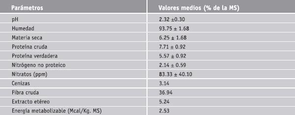 Subproductos de la caña de azucar - Image 11