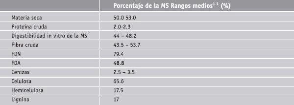 Subproductos de la caña de azucar - Image 7