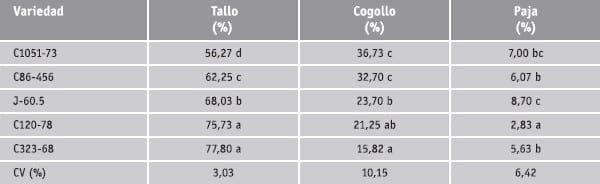 Subproductos de la caña de azucar - Image 3