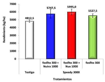 Nutrición en trigo: Estrategias complementarias - Image 6