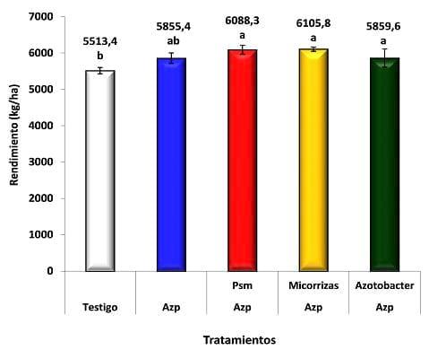 Nutrición en trigo: Estrategias complementarias - Image 5