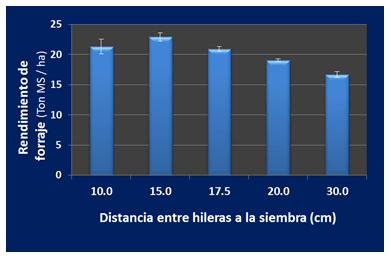 Siembra de alfalfa - Image 6