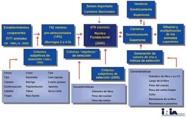 Diez años del proyecto medino fino del uruguay (1998 - 2008): Aportes tecnológicos para la sostenibilidad de los sistemas productivos ganaderos de la región de Basalto - Image 2