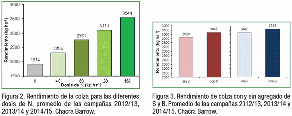 Respuesta de la colza a la aplicación de N, S y B en el centro sur bonaerense - Image 6